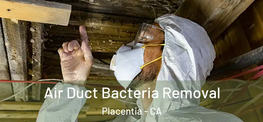  Air Duct Bacteria Removal Placentia - CA