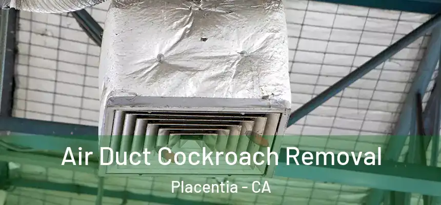  Air Duct Cockroach Removal Placentia - CA