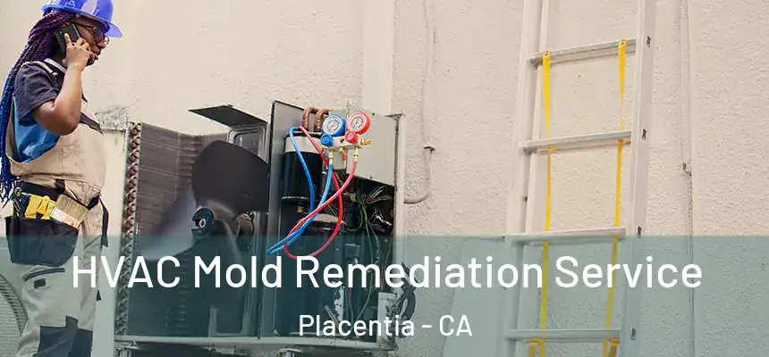  HVAC Mold Remediation Service Placentia - CA