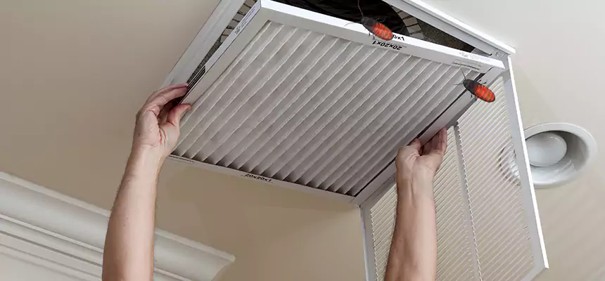 Preventive Cockroach-Proofing for Ducts in Placentia