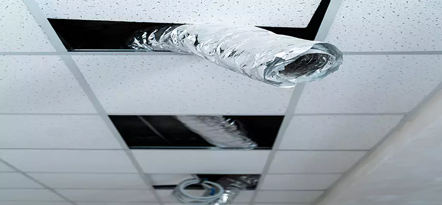 Our Air Duct Pet Hair Removal Services in Placentia, CA