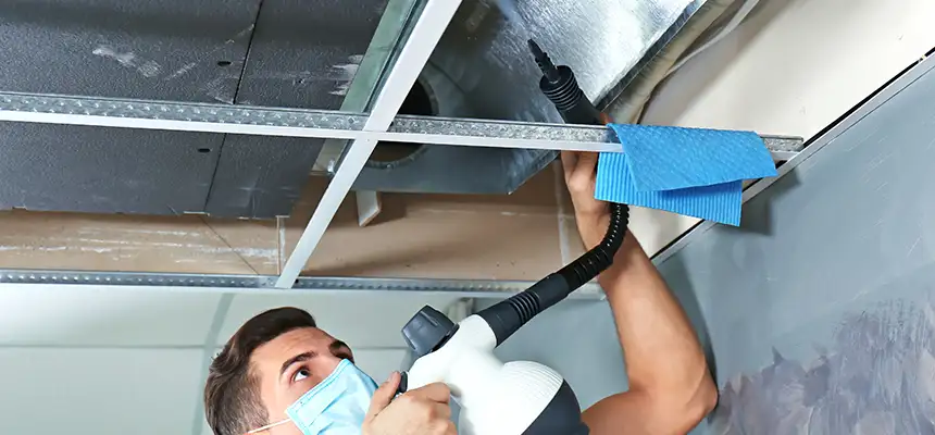 Our Air Duct Rodent Removal Services in Placentia, CA