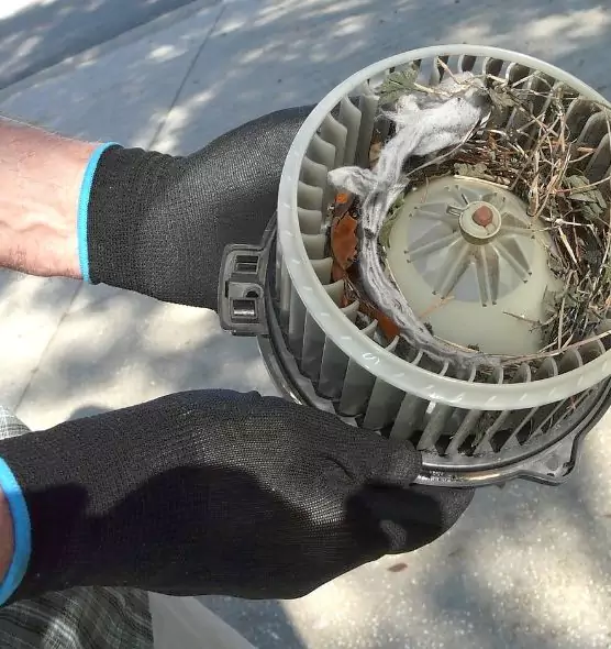 About Air Duct Rat Removal in Placentia, CA