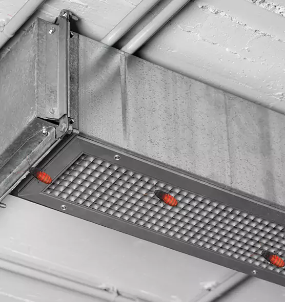 Affordable Insect Removal from Air Ducts in Placentia, CA