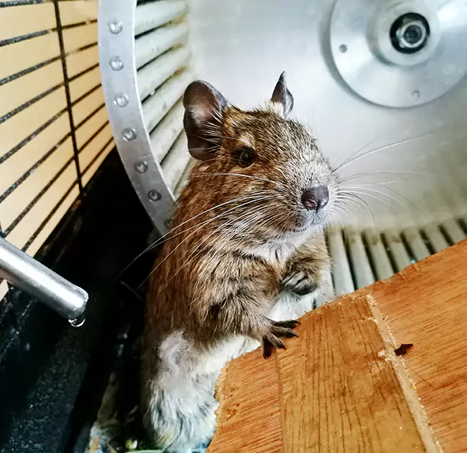 Why Homeowners & Businesses Trust Us Placentia, CA?