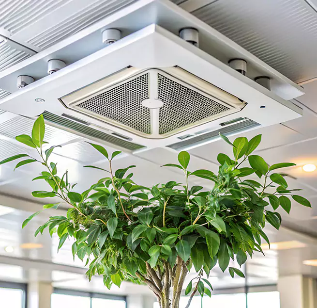 Why Homeowners & Businesses Trust Us in Placentia, CA?